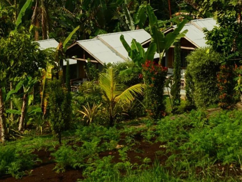 The Geckos Homestay Kelimutu Ruang foto