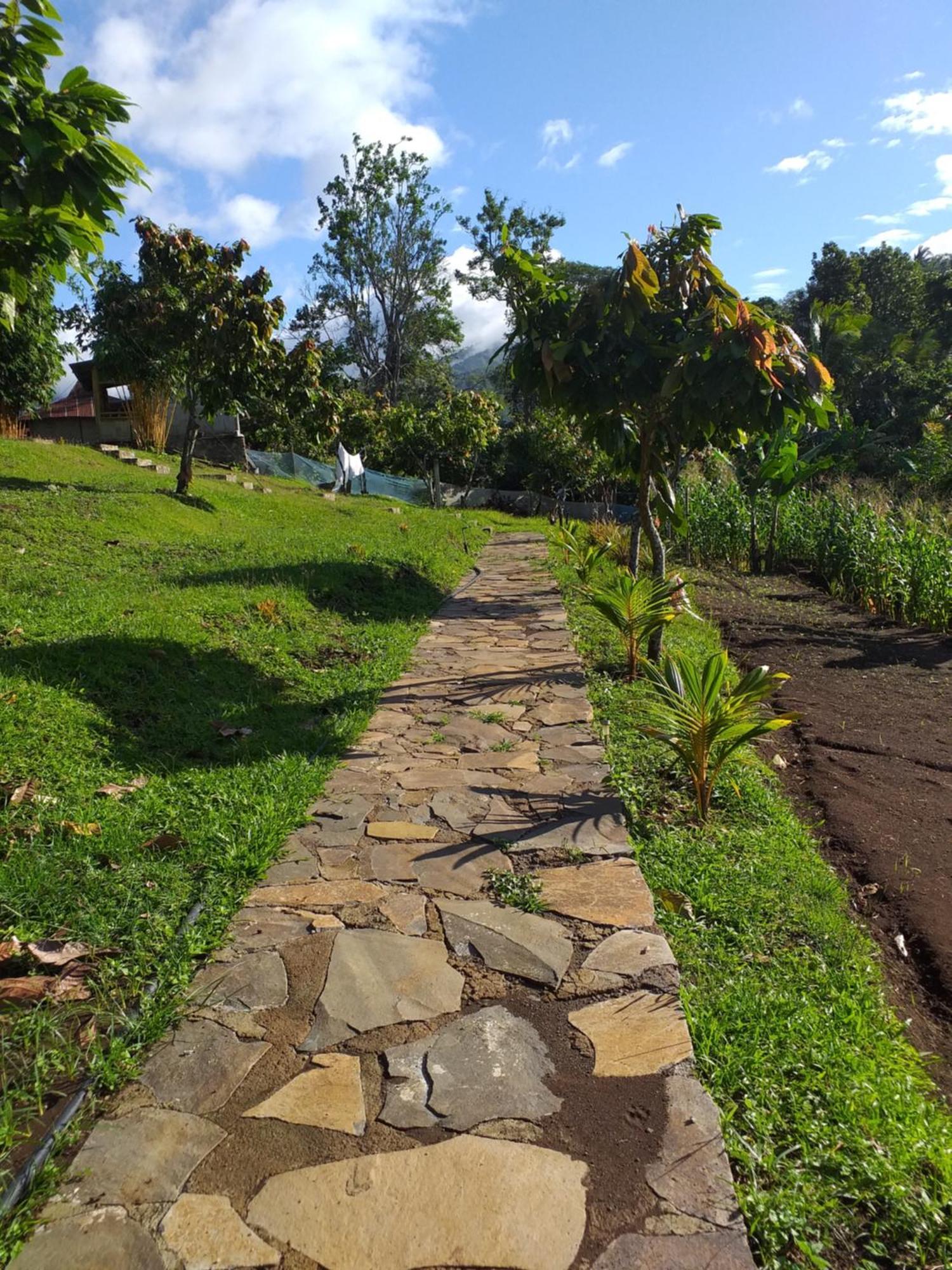 The Geckos Homestay Kelimutu Ruang foto